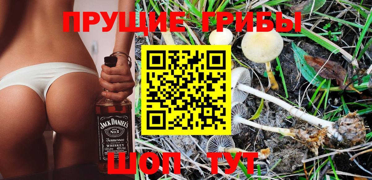 Галлюциногенные грибы Psilocybine cubensis  Вход с VPN  Лангепас 